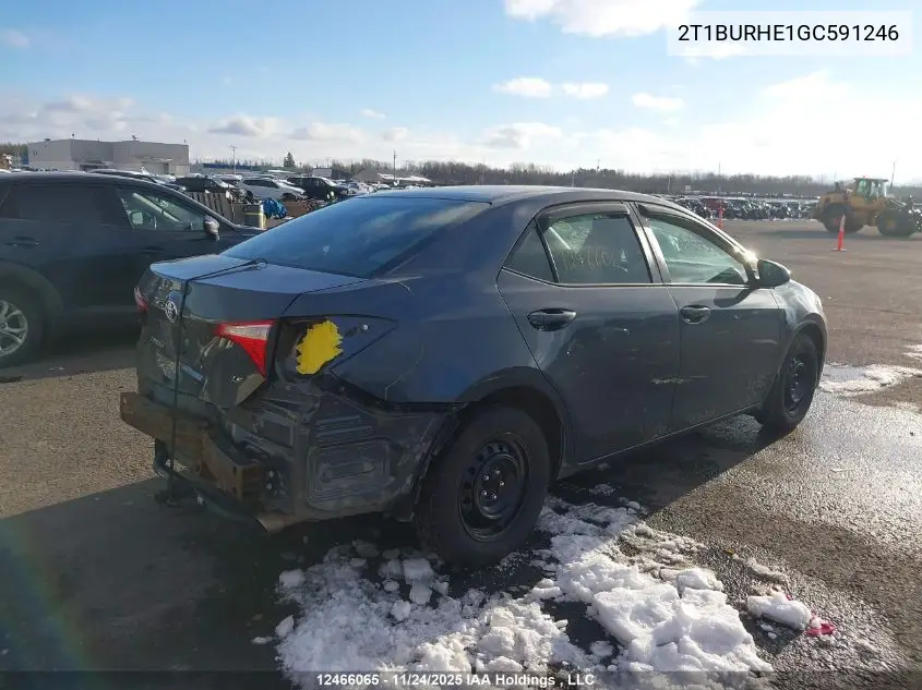 2T1BURHE1GC591246 2016 Toyota Corolla