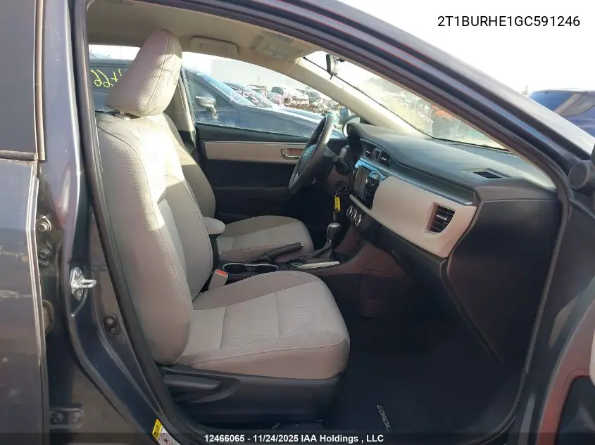 2T1BURHE1GC591246 2016 Toyota Corolla
