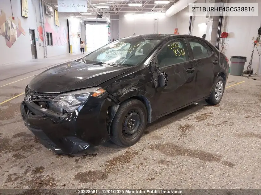 2T1BURHE4GC538816 2016 Toyota Corolla Le