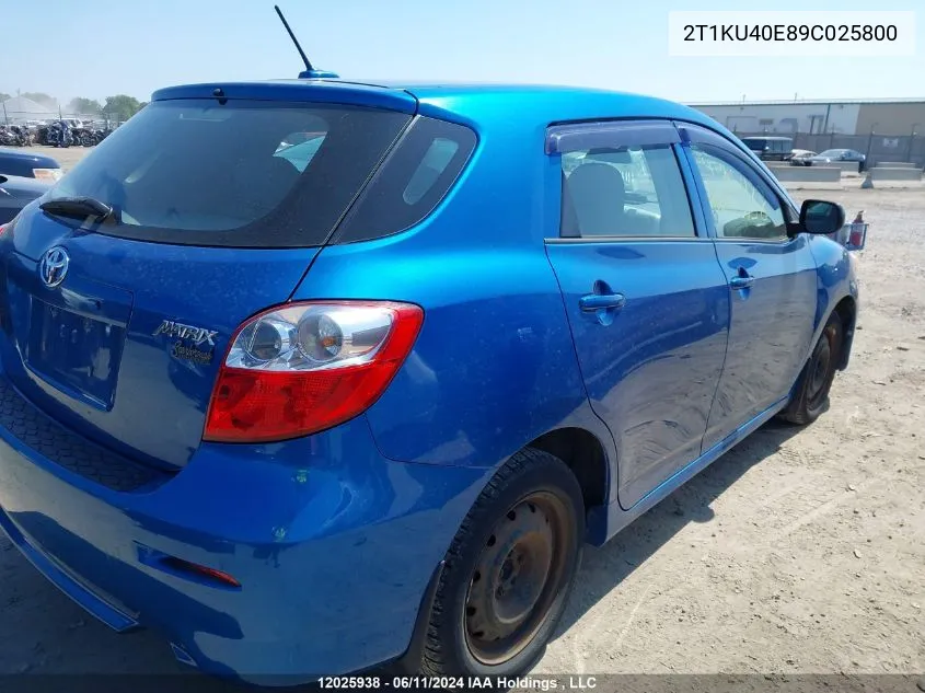 2T1KU40E89C025800 2009 Toyota Matrix Wagon