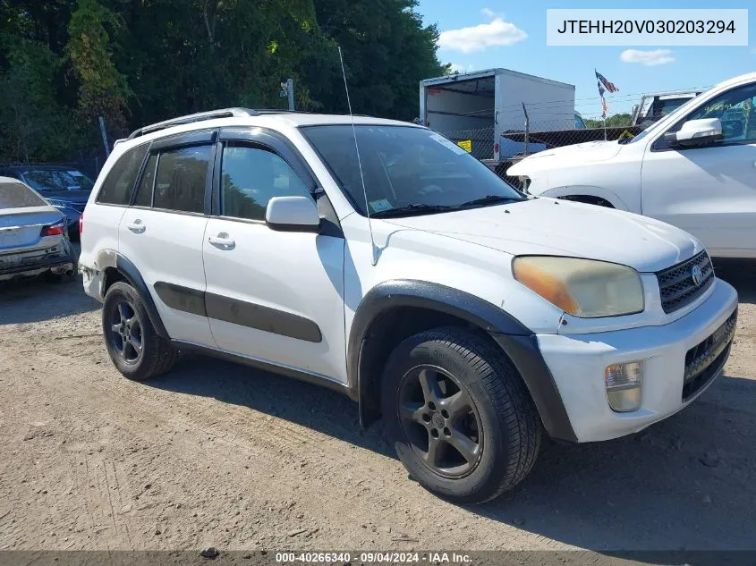 2003 Toyota Rav4 VIN: JTEHH20V030203294 Lot: 40266340