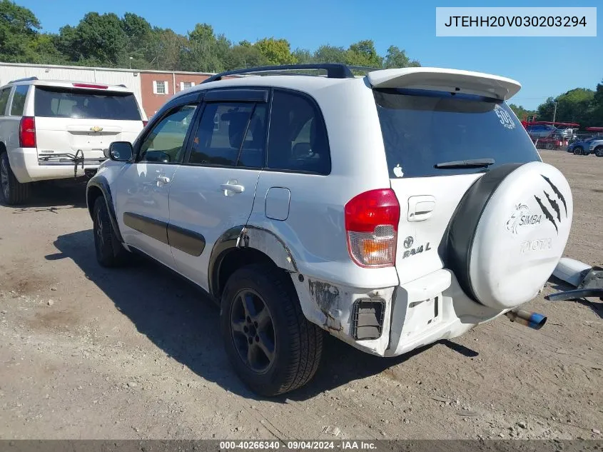 2003 Toyota Rav4 VIN: JTEHH20V030203294 Lot: 40266340