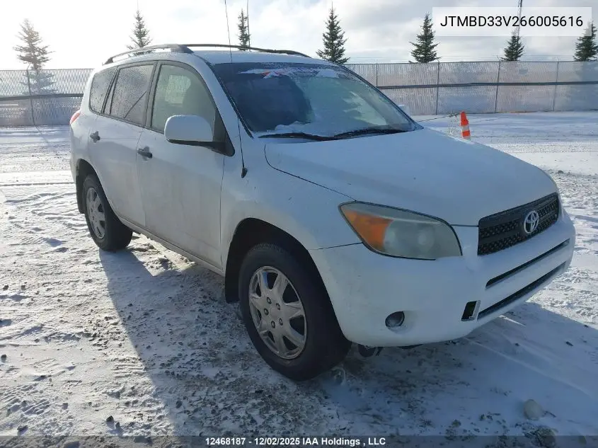 JTMBD33V266005616 2006 Toyota Rav4