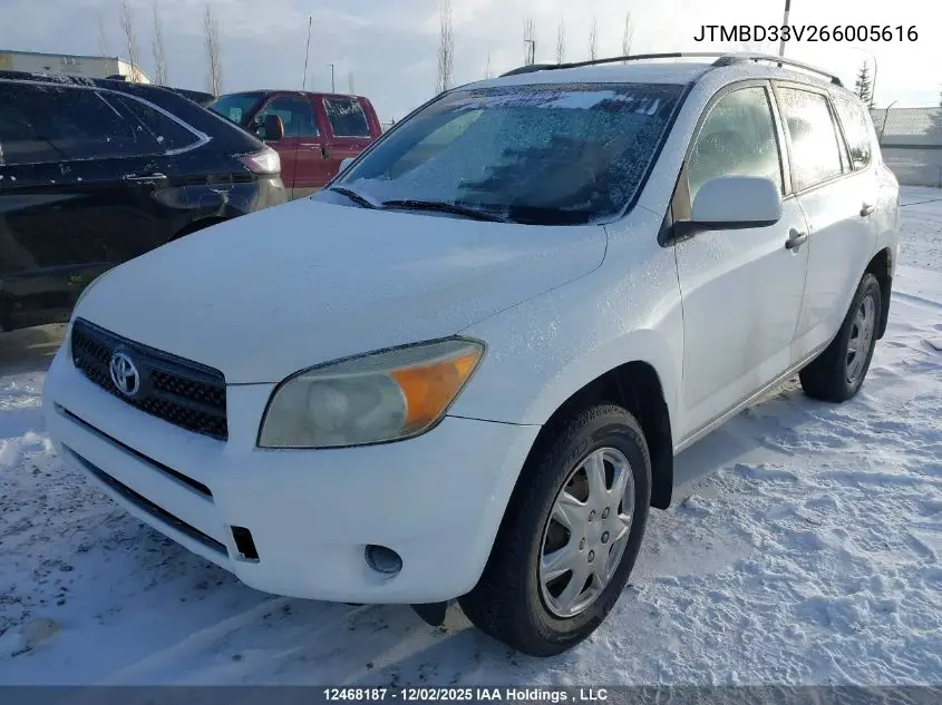 JTMBD33V266005616 2006 Toyota Rav4