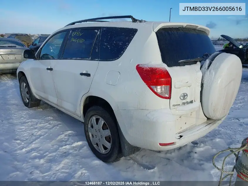JTMBD33V266005616 2006 Toyota Rav4