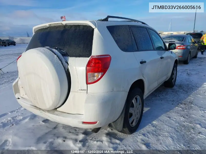 JTMBD33V266005616 2006 Toyota Rav4