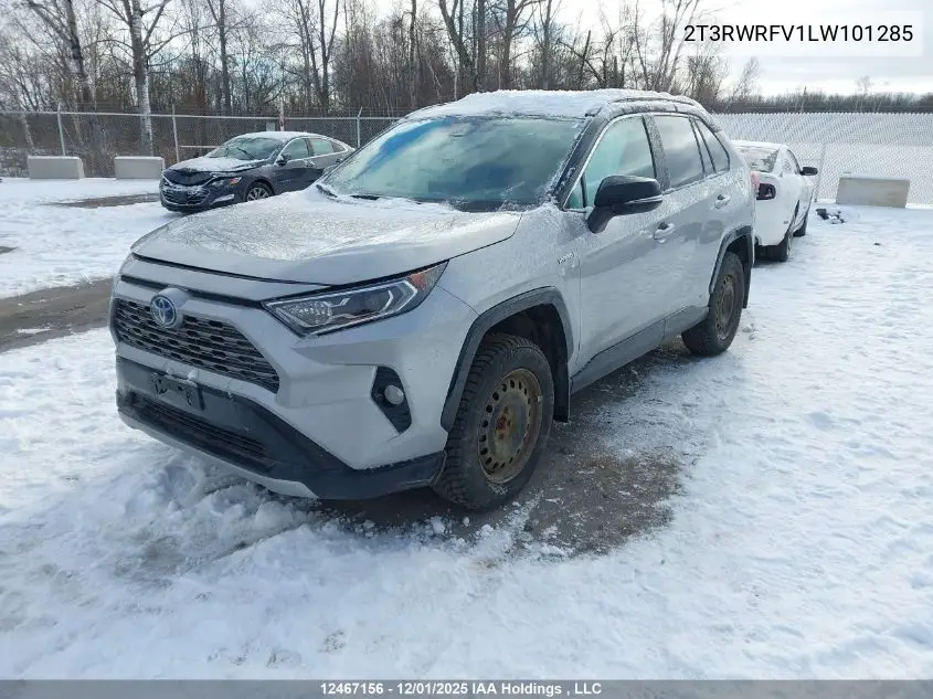 2T3RWRFV1LW101285 2020 Toyota Rav4