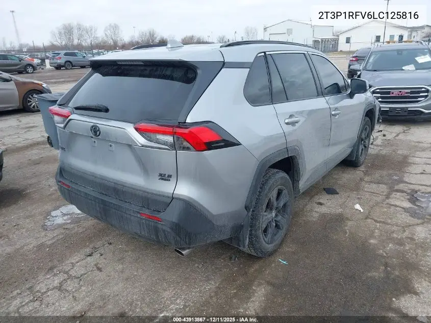 2T3P1RFV6LC125816 2020 Toyota Rav4 Xle