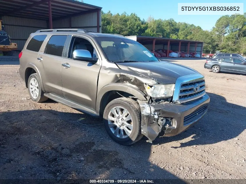 5TDYY5G1XBS036852 2011 Toyota Sequoia Platinum 5.7L V8