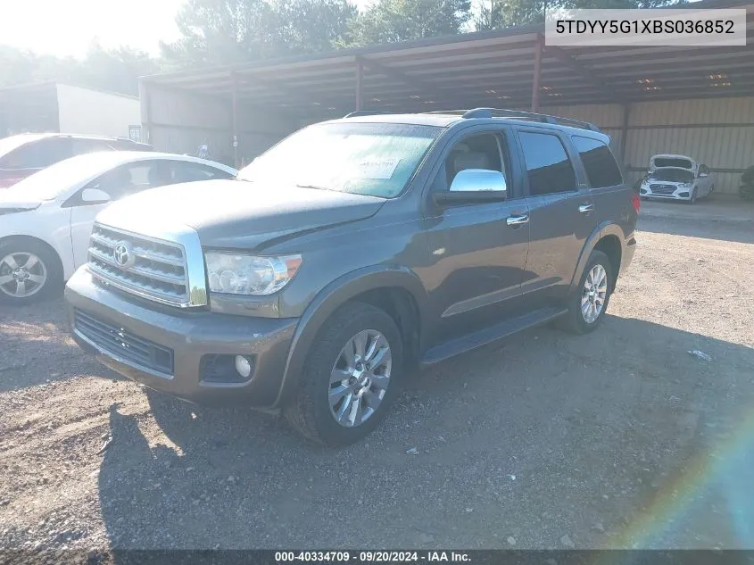 5TDYY5G1XBS036852 2011 Toyota Sequoia Platinum 5.7L V8