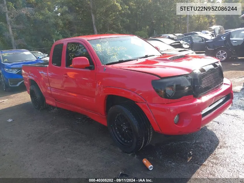 2005 Toyota Tacoma V6 VIN: 5TETU22N95Z086244 Lot: 40305202