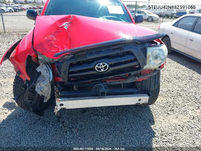 5TEUU42N88Z591065 2008 Toyota Tacoma Base V6