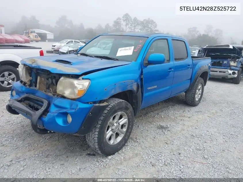 5TELU42N28Z525722 2008 Toyota Tacoma Base V6