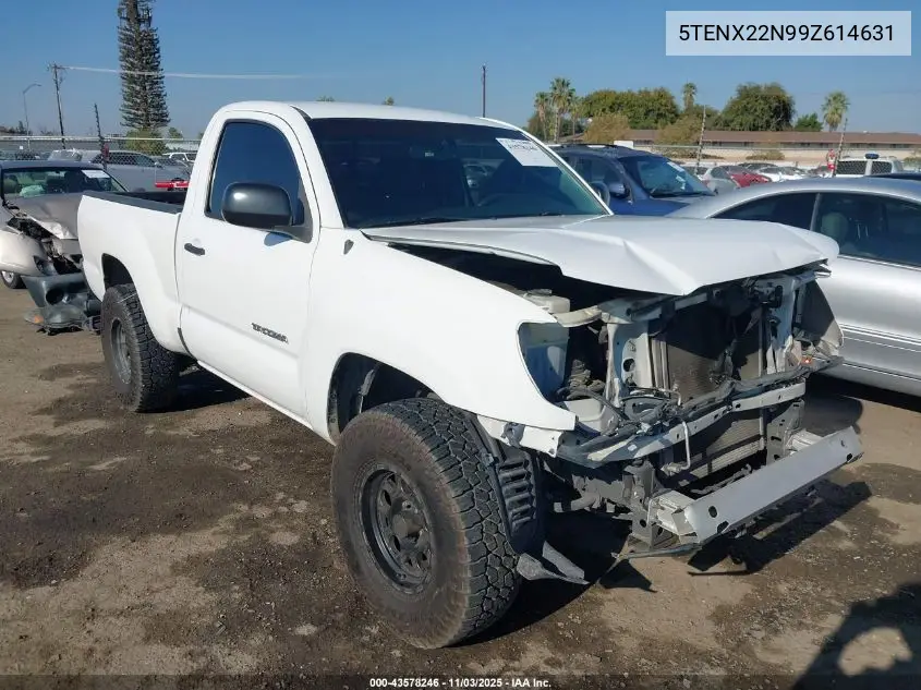 5TENX22N99Z614631 2009 Toyota Tacoma