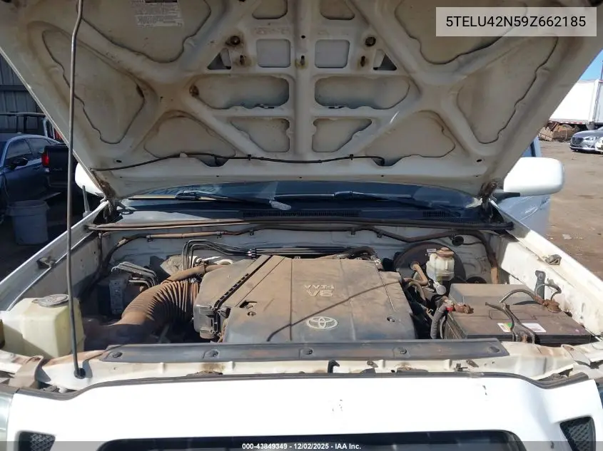 5TELU42N59Z662185 2009 Toyota Tacoma Base V6