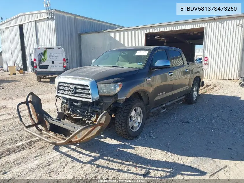 5TBDV58137S473260 2007 Toyota Tundra Limited 5.7L V8