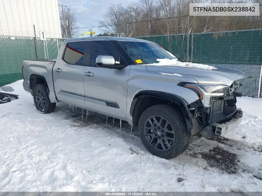 5TFNA5DB0SX238842 2025 Toyota Tundra Platinum