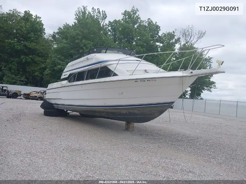 1991 Triumph 31 Ft Boat VIN: T1ZJ0029G091 Lot: 42321505