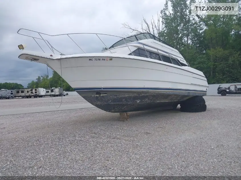 1991 Triumph 31 Ft Boat VIN: T1ZJ0029G091 Lot: 42321505