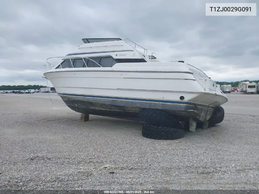 1991 Triumph 31 Ft Boat VIN: T1ZJ0029G091 Lot: 42321505