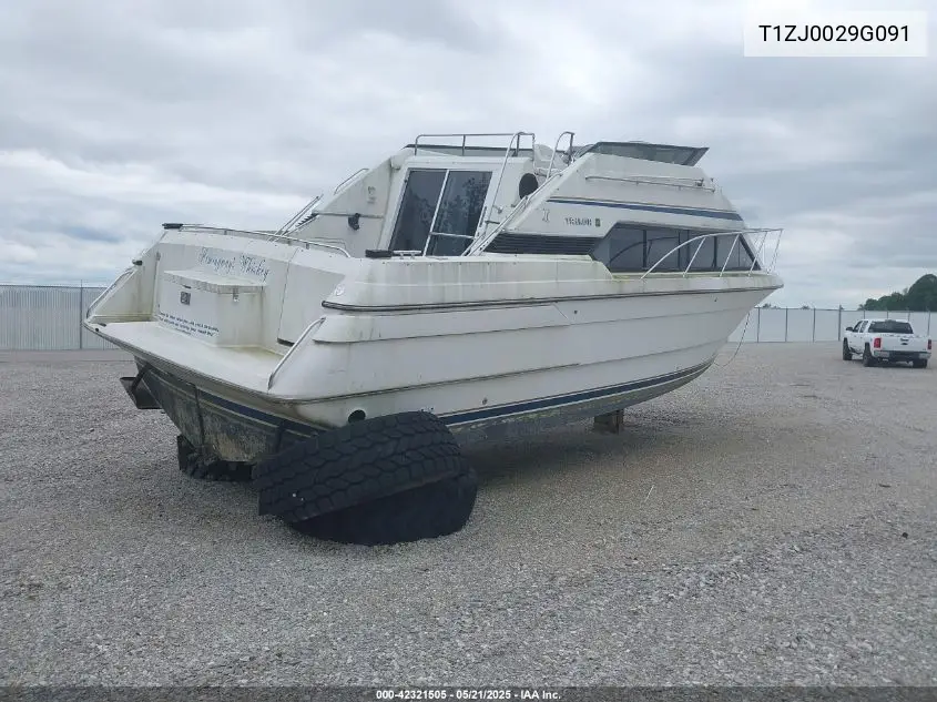 1991 Triumph 31 Ft Boat VIN: T1ZJ0029G091 Lot: 42321505