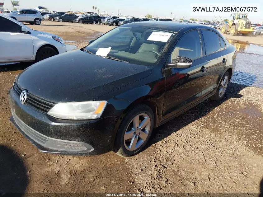 3VWLL7AJ2BM067572 2011 Volkswagen Jetta 2.0L Tdi