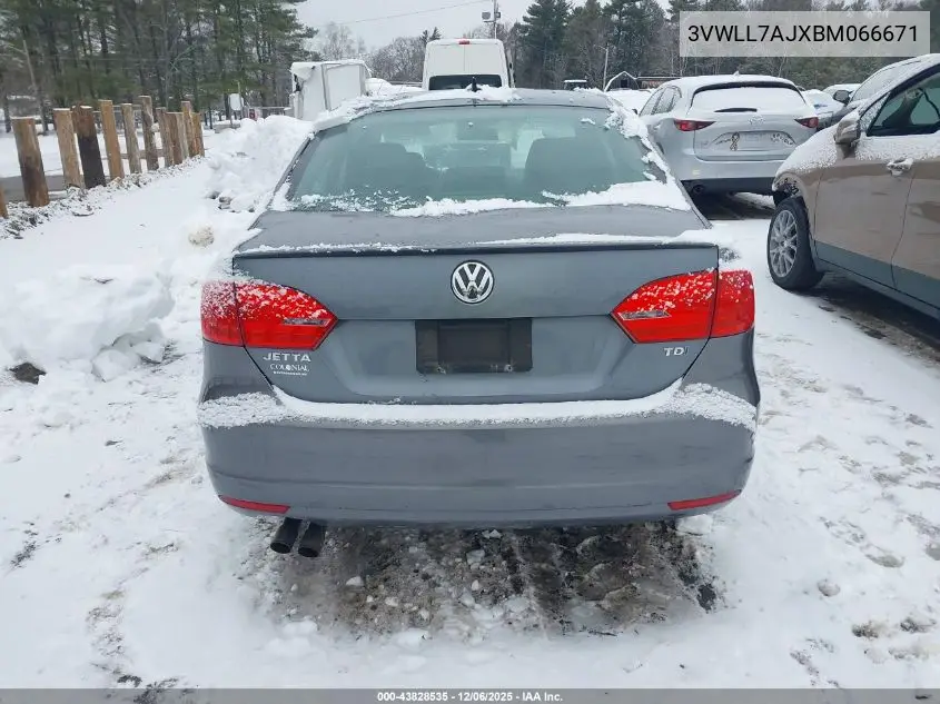 3VWLL7AJXBM066671 2011 Volkswagen Jetta 2.0L Tdi