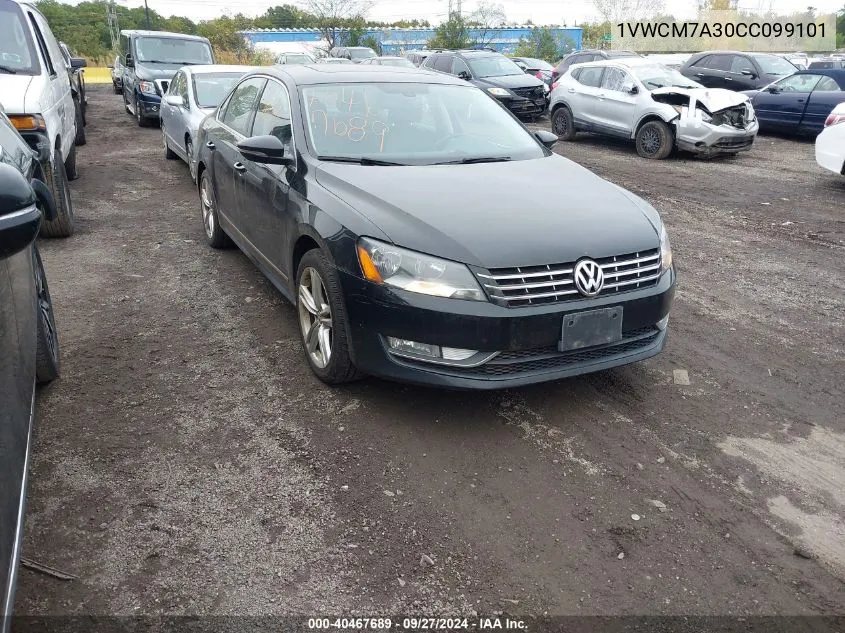 1VWCM7A30CC099101 2012 Volkswagen Passat 3.6L V6 Sel Premium