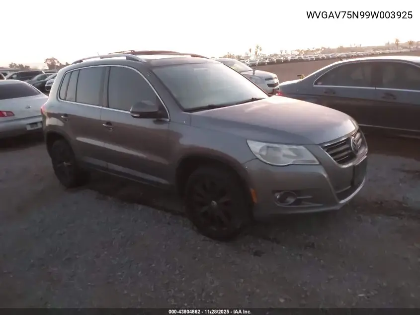 WVGAV75N99W003925 2009 Volkswagen Tiguan S/Se/Sel